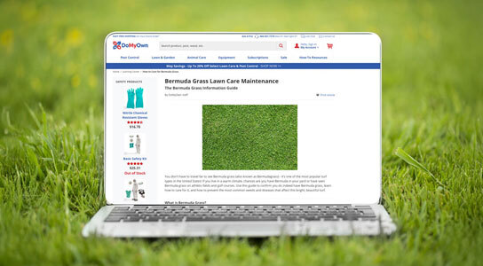 Lawn Care Guides Expert Guides For Lawn Care