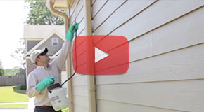 How to Use Talstar P Insecticide