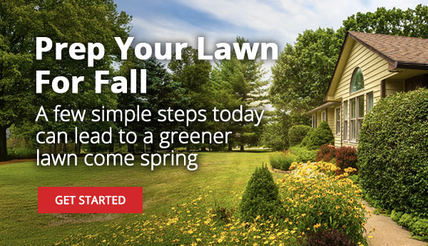 Prep Your Lawn For Fall