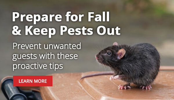 Prepare for Fall and Keep Pests Out - Keep unwanted guests out with these quick proactive tips!
