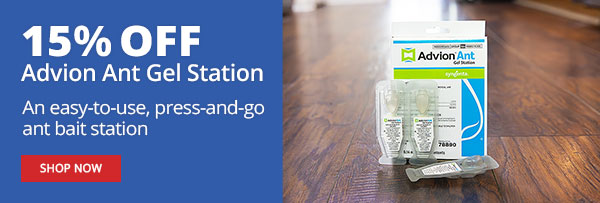 15% Off Advion Ant Gel Station - An easy-to-use, press-and-go ant bait station |SHOP NOW|