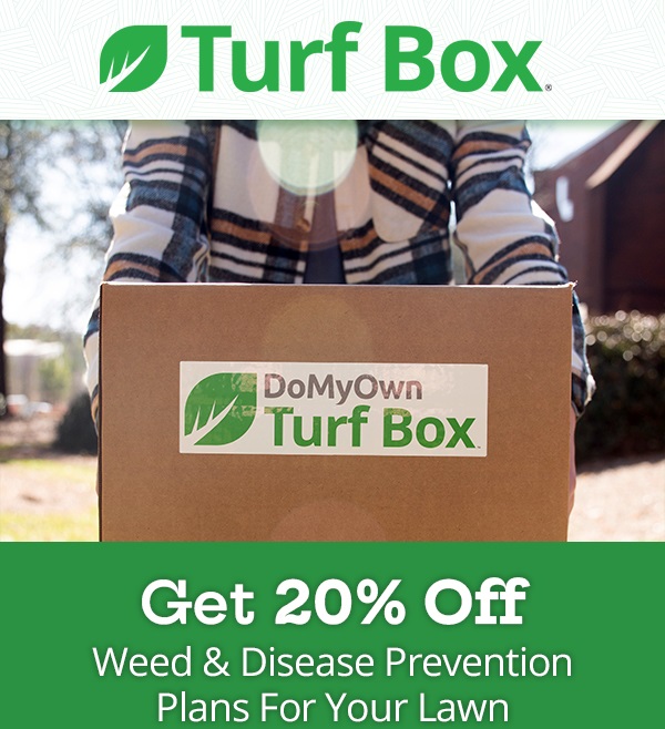 Get 20% Off Weed & Disease Prevention Plans For Your Lawn |GET STARTED|