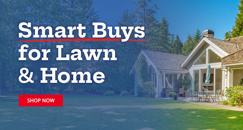 Smart Buys for Lawn & Home