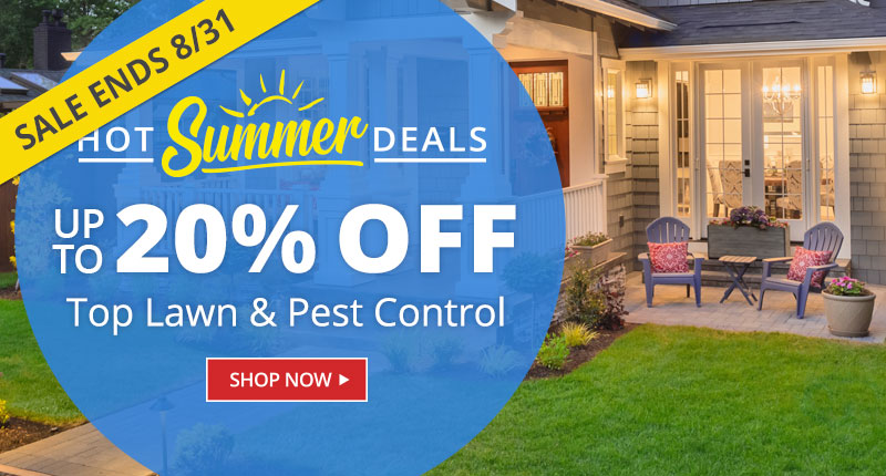 Summer Sale up to 20% Off