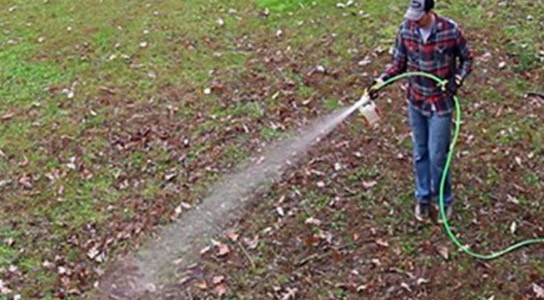 How to Control Moles, Voles & Gophers How to Control Moles, Voles & Gophers