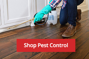 Pest Control