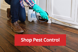 Pest Control