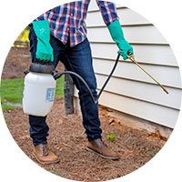 Apply Perimeter Pest Treatments Early