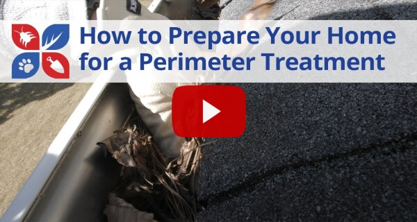 How to Prepare Your Home for a Perimeter Treatment