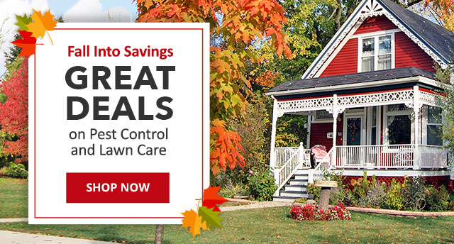 Fall Into Savings - Great Deals on Pest Control & Lawn Care |SHOP NOW|