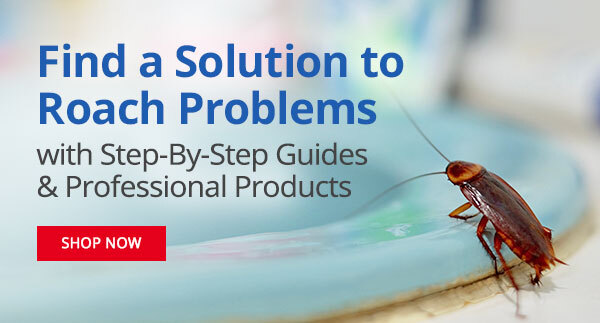 Find a Solution to Roach Problems with Step-By-Step Guides & Professional Products |SHOP NOW|
