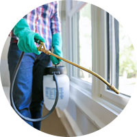 Roach Treatment