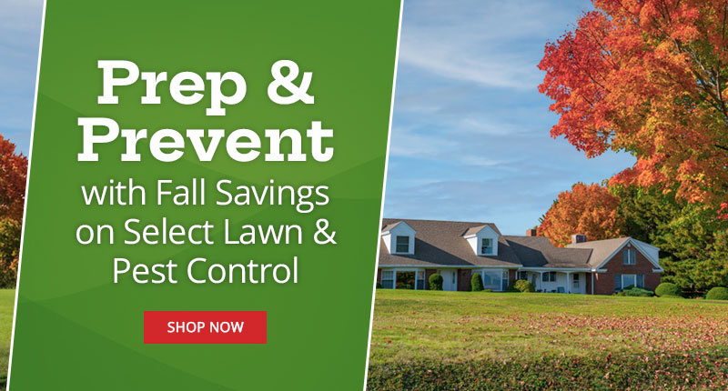 Prep & Prevent with Fall Savings on Select Lawn & Pest Control |SHOP NOW|