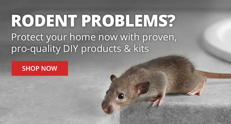 Rodent Problems? Protect Your Home Now with Proven, Pro-quality DIY products & kits |SHOP NOW|