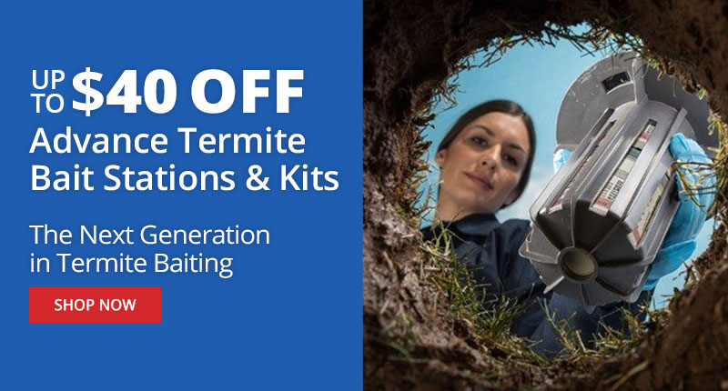 Termite Bait Stations Up to $40 off Advance Termite Bait Stations - Shop Now