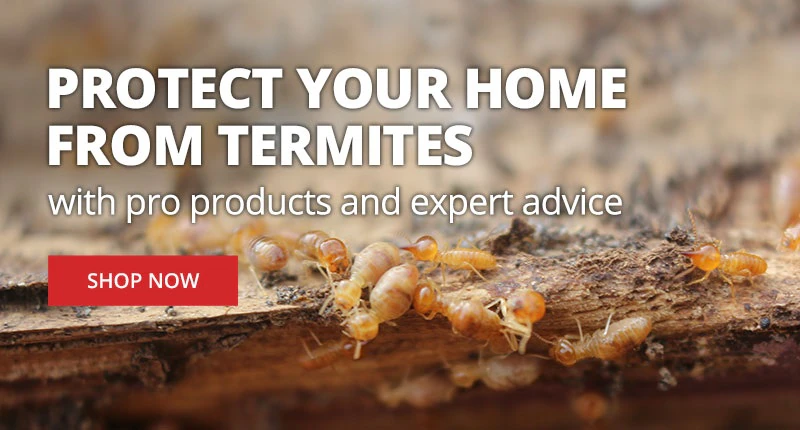 Protect Your Home From Termites With Pro Products & Expert Advice |SHOP NOW|