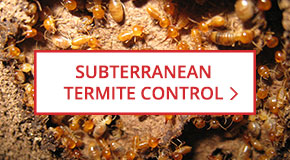 Subterranean Termite Control