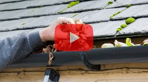 Prevent Termite Infestations by Keeping Your Property Clean