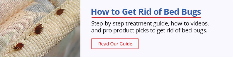 Bed Bug Guide How to get rid of bed bugs - Step-by-step treatment guide, how-to videos and pro product picks to get rid of bed bugs. |Read Our Guide|