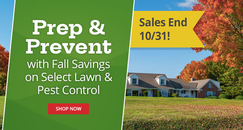 Stop Bed Bug Infestations - Kick them out with DIY Kits & Products |SHOP NOW|