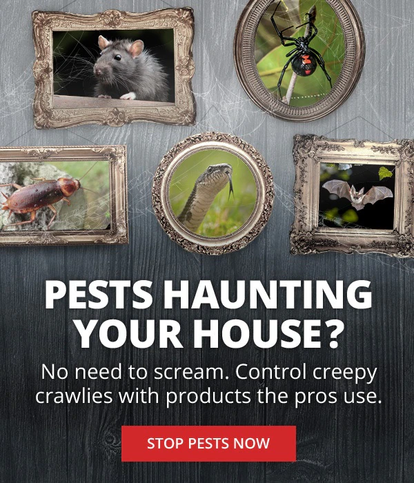 Pests Haunting Your House? - No need to scream. Control creepy crawlies with products the pros use |STOP PESTS NOW|