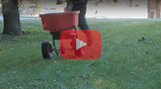 How to Winterize a Cool Season Lawn How to Winterize a Cool Season Lawn