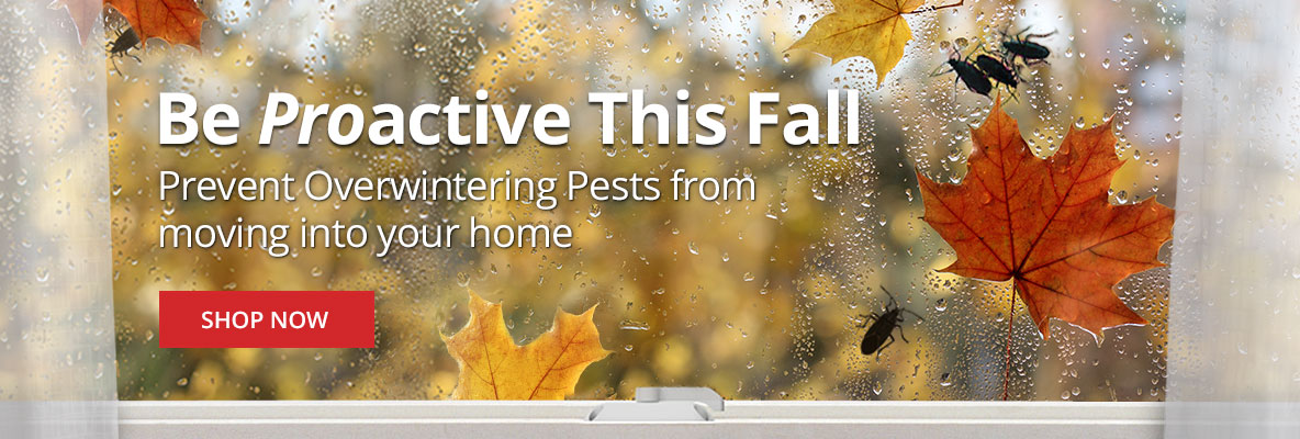 Be Proactive This Fall - Prevent overwintering pest from moving into your home |SHOP NOW|
