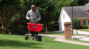 5 Tools You Need for DIY Lawn Care