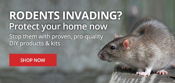 Rodents Invading? Protect Your Home Now - Stop them with proven, pro-quality DIY products & kits |SHOP NOW|