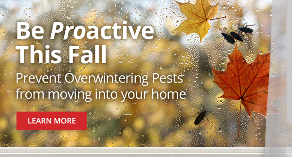 Be proactive thgis fall prevent overwintering pests from moving into your home |LEARN MORE|