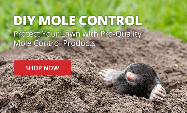 DIY Mole Control - Protect your lawn with pro-quality mole control products |SHOP NOW|