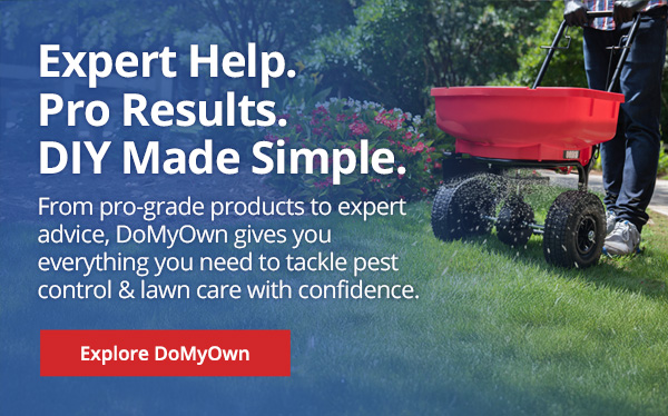 Expert Help. Pro Results. DIY Made Simple. From pro-grade products to expert advice, DoMyOwn gives you everything you need to tackle pest control & lawn care with confidence |Explore DoMyOwn|