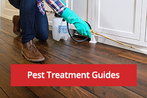 Pest Treatment Guides