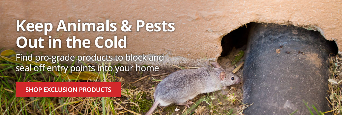 Keep Animals & Pests Out in the Cold - Find pro-grade products to block and seal off entry points into your home |SHOP EXCLUSION PRODUCTS|