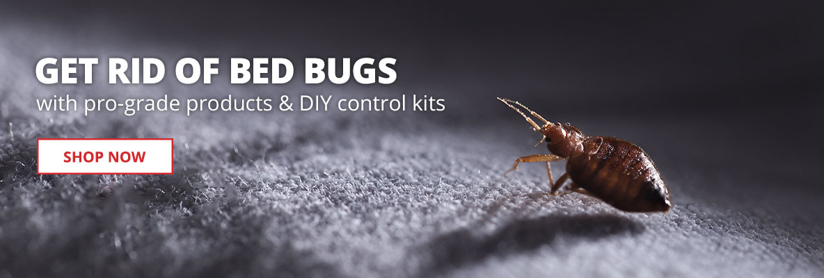Get Rid of Bed Bugs with pro-grade products & DIY control kits |SHOP NOW|
