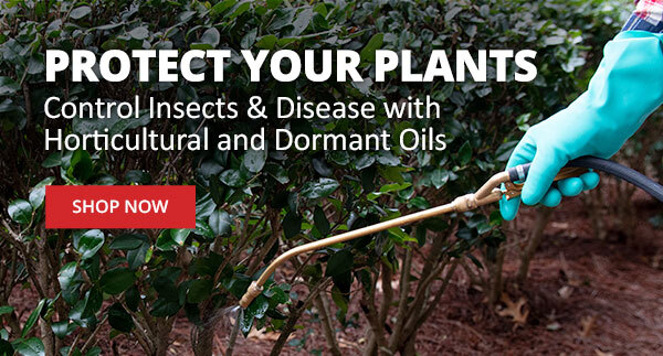 Protect Your Plants - Control Insects & Disease with Horticultural and Dormany Oils |LEARN MORE|
