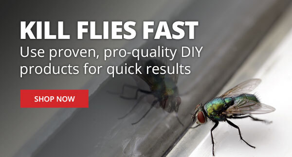 Kill Flies Fast - Use Proven, Pro-Qualirt DIY products for quick results |SHOP NOW|