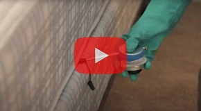 DIY Bed Bug Treatment Guide
