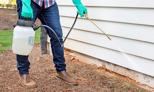 How to Choose the Right Sprayer