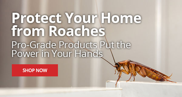 Protect Your Home From Roaches - Pro-Grade Products Put the Power in Your Hands |SHOP NOW|