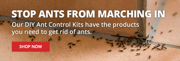 Stop Ants From Marching In - Our DIY Ant Control Kits have the products you need to get rid of ants. |SHOP NOW|