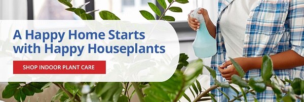 A Happy Home Starts with Happy Houseplants |SHOP INDOOR PLANT CARE|