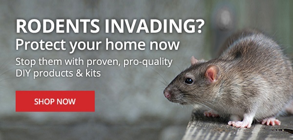 Rodents Invading? Protect your home now - Stop them with proven, pro-quality DIY products & kits |SHOP NOW|