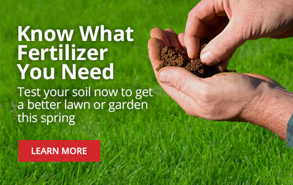 Soil Testing Know What Fertilizer You Need - Test your soil now to get a better lawn or garden this spring |LEARN MORE|