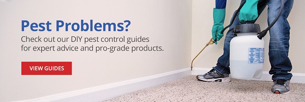Pest Problems? Pest Problems? Check out our DIY pest control guides for expert advice and pro-grade products. |VIEW GUIDES|