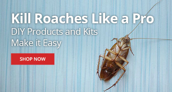 Kill Roaches Like a Pro - DIY Products & Kits Make it Easy |SHOP NOW|