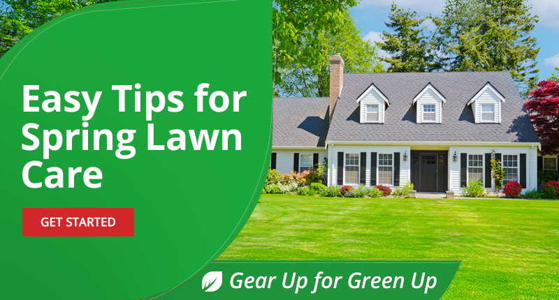 Easy Tips for Spring Lawn Care |GET STARTED|