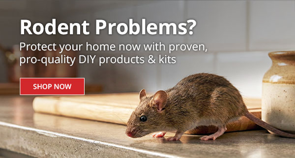 Rodent Problems? Rodent Problems? Protect your home now with proven, pro-quality DIY products & kits - |SHOP NOW|
