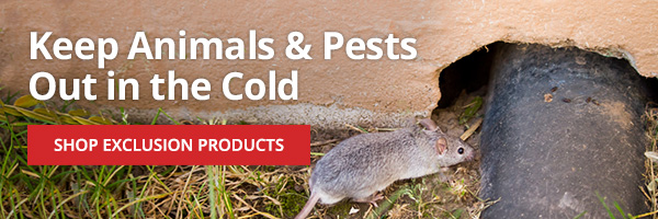 Animal & Pest Exclusion Keep Animals & Pests Out in the Cold - |SHOP EXCLUSION PRODUCTS|
