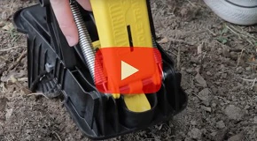 How to Bait & Trap Moles